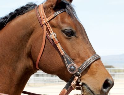 Weaver Maverick Browband Headstall