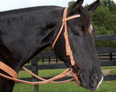 Weaver Quick Change Browband Headstall