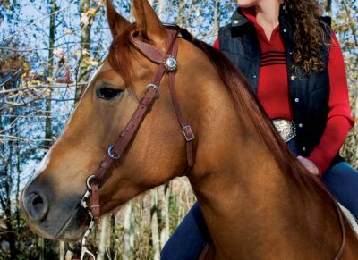 Weaver Stacy Westfall ProTack Oiled Flat Sliding Ear Headstall