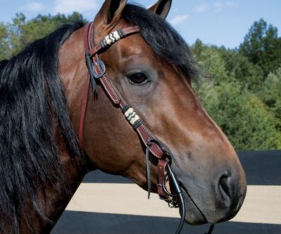 Weaver Basketweave Browband Headstall with Rawhide