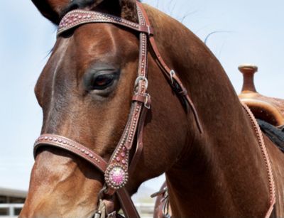 Weaver Pretty in Pink Browband Headstall