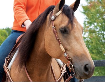Weaver Basketweave Flat Sliding Ear Headstall with Rawhide