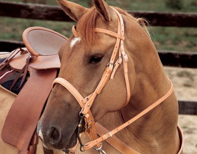 Weaver Horizons V-Browband Headstall