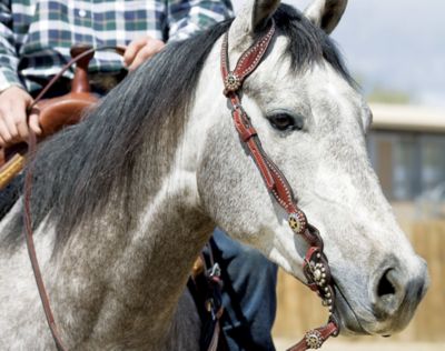 Weaver Texas Star Sliding Ear Headstall