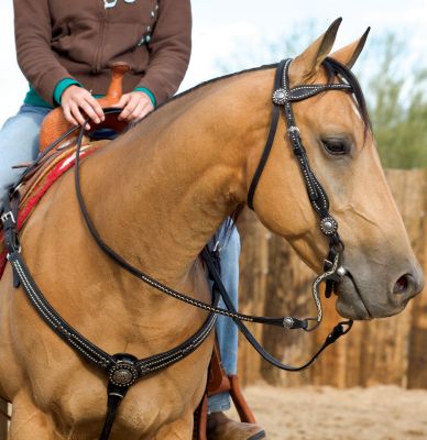 Weaver Back in Black Browband Headstall