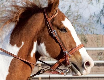 Weaver Trailblazer Sliding Ear Headstall