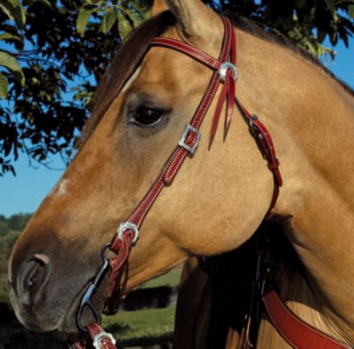 Weaver Trailblazer Browband Headstall