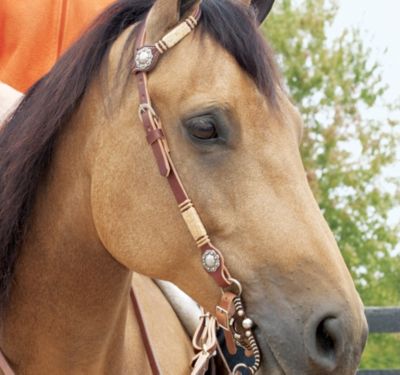 Weaver Sliding Ear Headstall with Rawhide and Conchos