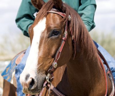 Weaver Texas Star Browband Headstall