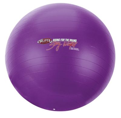 Weaver's Stacy Westfall Activity Ball