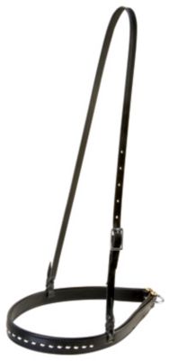 Weaver Buckstitch Noseband Best Price