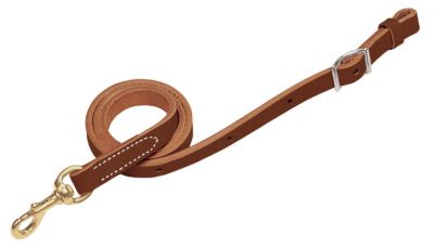 Weaver Horizons Tie Down Strap Best Price
