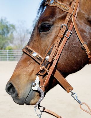 Weaver Renegade West Noseband