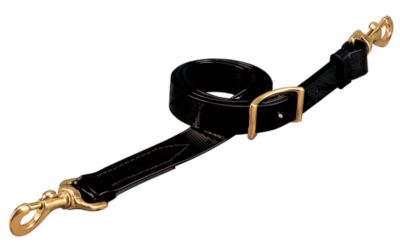 Weaver Poly Coated Webbing Tie Down Strap Best Price
