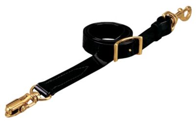 Weaver Coated Webbing Tie Down with Lock Snap Best Price
