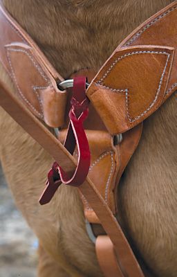 Weaver Bleeding Heart Latigo Tie for Tie Down Best Price