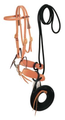 Weaver Harness Leather Bridle with Mecate