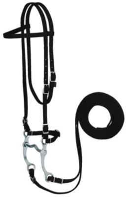 Weaver Nylon Browband Bridle