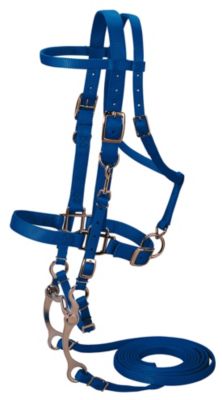 Weaver Nylon Browband Halter Bridle