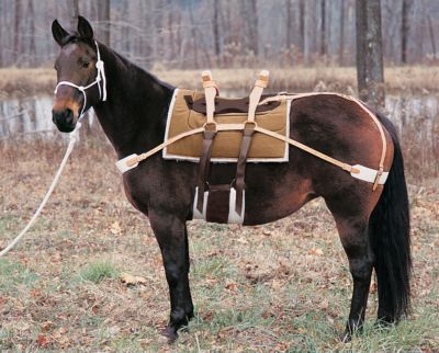 Weaver Complete Pack Saddle Unit Best Price