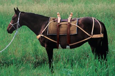 Weaver Deluxe Pack Saddle with Leather Best Price