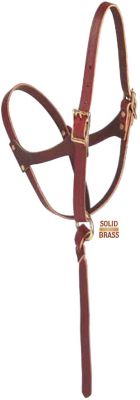 Weaver Figure 8 Foal Halter Best Price