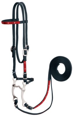 Weaver Old Glory Bridle Best Price