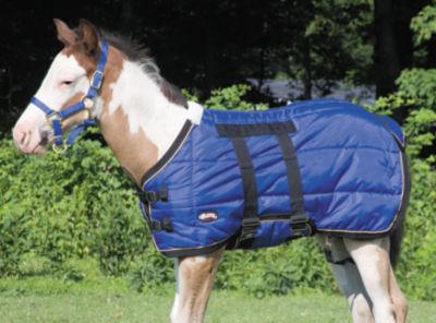 Weaver Foal Midweight Stable Blanket Best Price