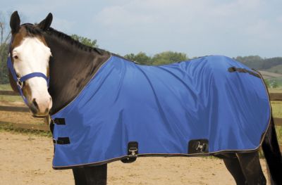 Weaver Lightweight Nylon Horse Turnout Sheet