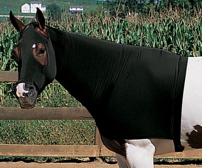 Weaver EquiSkinz Hoods Best Price