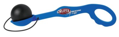 Weaver Stacy Westfall Egg and Spoon Training Tool Best Price