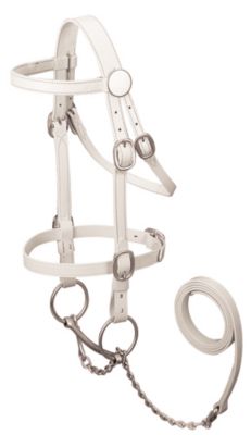 Weaver Draft Horse Show Bridle Picture