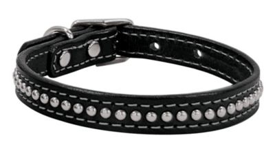 Weaver Back in Black 5/8 Dog Collar Best Price