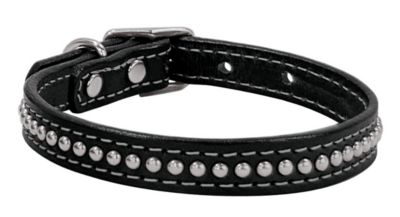 Weaver Back in Black 3/4 Dog Collar Best Price