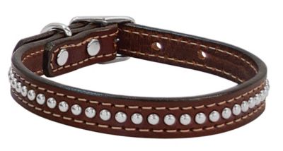 Weaver Classic 34 Dog Collar