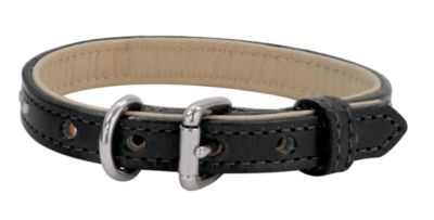 Weaver Buckstitch 58 Dog Collar
