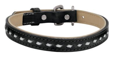 Weaver Buckstitch 34 Dog Collar