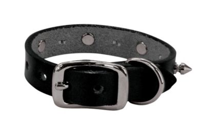 Weaver Spikes 58 Dog Collar