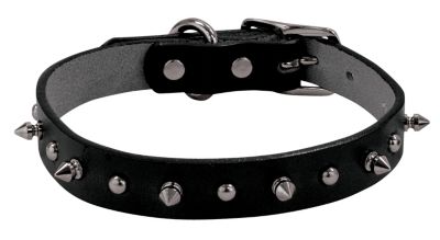 Weaver Spikes 34 Dog Collar