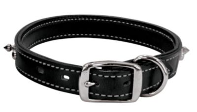 Weaver Spikes 1 Dog Collar