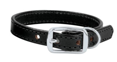 Weaver Briarwood Grandeur 5/8 Dog Collar Best Price