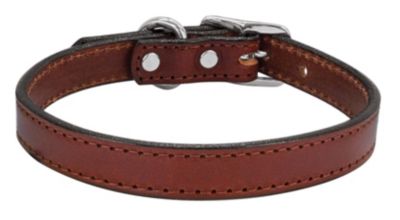 Weaver Briarwood Grandeur 3/4 Dog Collar Best Price