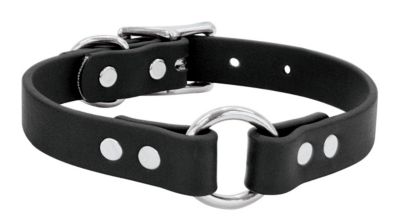 Weaver Brahma Webb Select 3/4 Hunting Collar Best Price