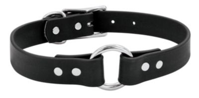 Weaver Brahma Webb Select 1 Hunting Collar Best Price