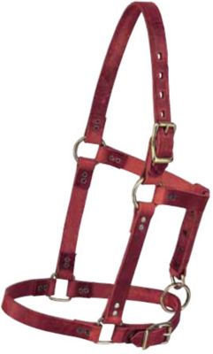 Weaver Riveted Foal Halter Best Price