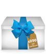 Gift Certificate $250