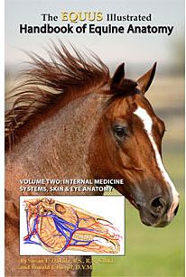 EQUUS Illustrated Handbook Of Equine Anatomy by Ronald J. Riegel and Susan E. Hakola