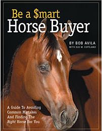 Be a Smart Horse Buyer by Bob Avila