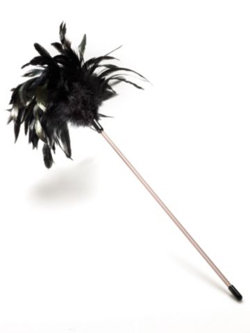Buy Feather Duster, see details about this Sexy Lingerie and more