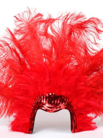 Sequin & Feather Headdress